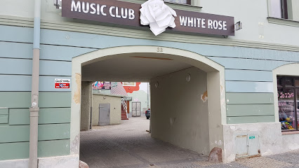 Disco White Rose