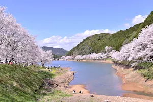 Niwaki Dam image