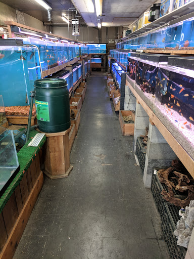 Tropical Fish Store «Tokyo Aquarium», reviews and photos, 4600 W Adams Blvd, Los Angeles, CA 90016, USA