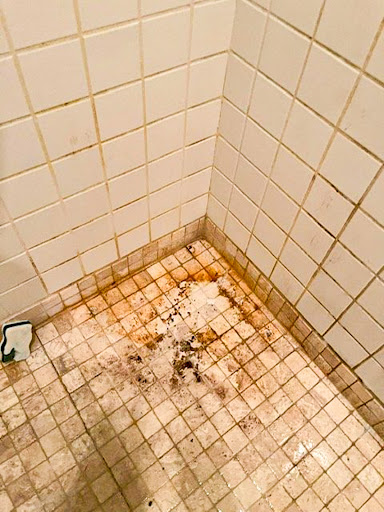 Cleaning Service «The Cleaning Company», reviews and photos, 945 Warwick Ct, Charlottesville, VA 22901, USA