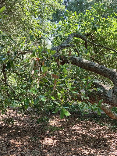 Park «Holmes Park», reviews and photos, Twin Lake Rd, Greenville, SC 29609, USA