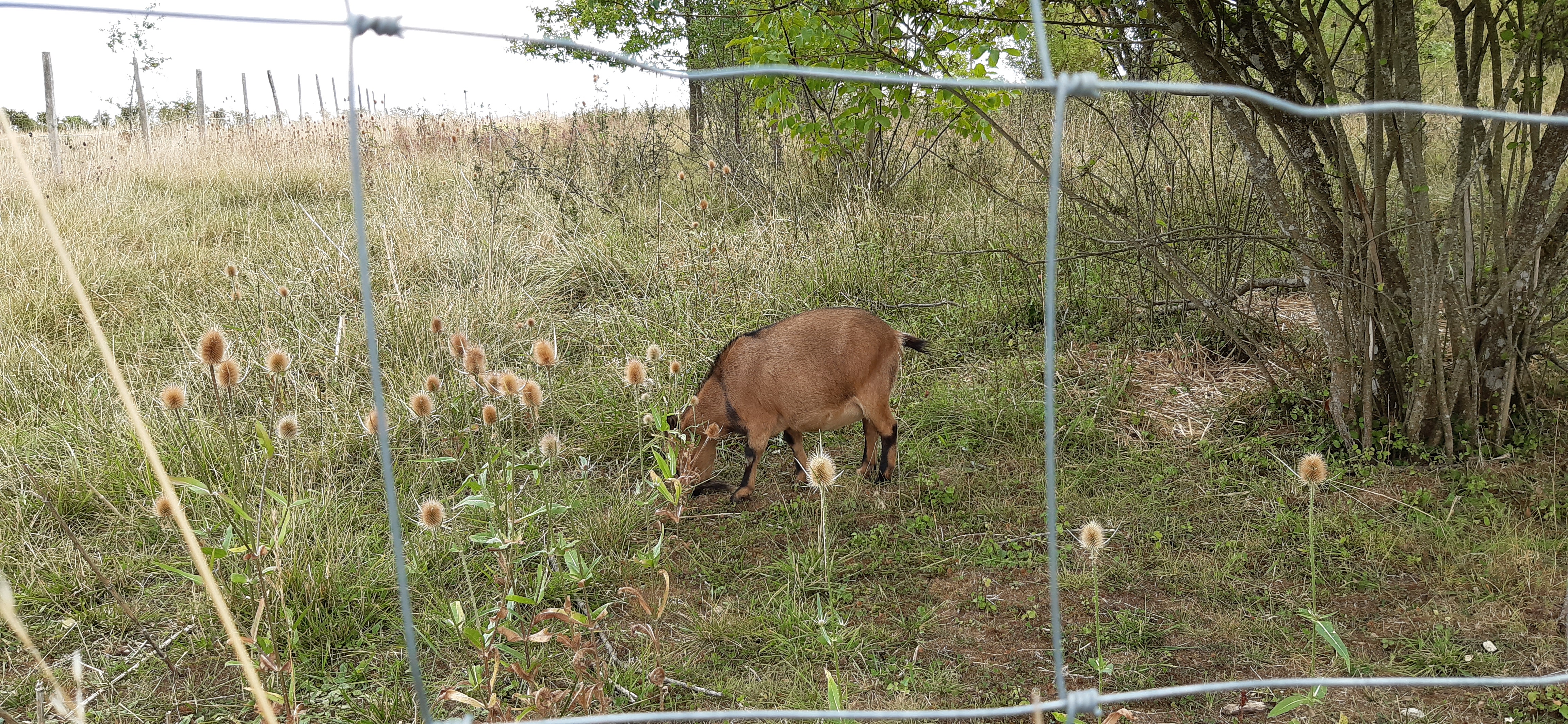 Photo n° 6 de l'avis de Dimitri.u fait le 13/08/2020 à 19:45