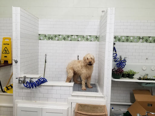 Pet Supply Store «Northside Grange», reviews and photos, 4116 Hamilton Ave, Cincinnati, OH 45223, USA