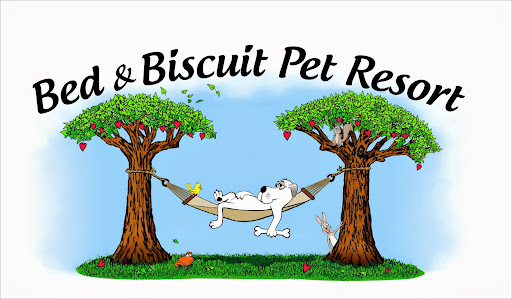 Pet Boarding Service «Bed & Biscuit Pet Resort», reviews and photos, 5525 AZ-69, Mayer, AZ 86333, USA
