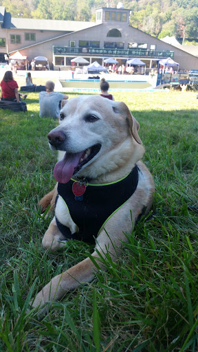 Ski Resort «Shawnee Mountain Ski Area», reviews and photos, 401 Hollow Rd, East Stroudsburg, PA 18301, USA