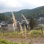 Photo n°2 de l'avis de Sverker.i fait le 11/05/2022 à 13:54 sur le  Weingut Trossen - Traben Trarbach à Traben-Trarbach