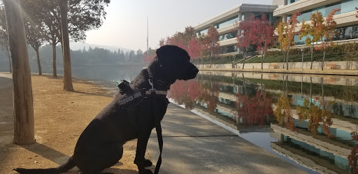 Pet Supply Store «Unleashed by Petco», reviews and photos, 4460 Tassajara Rd a, Dublin, CA 94568, USA