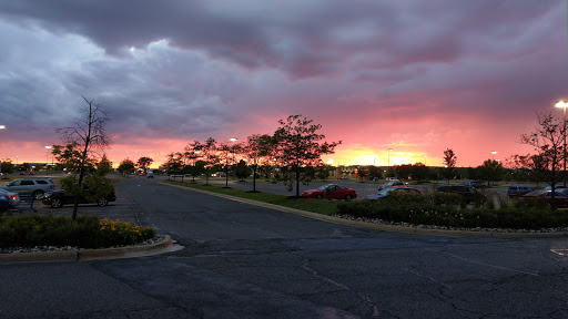 Shopping Mall «Livonia Plaza Shopping Center», reviews and photos, 30935 Five Mile Road, Livonia, MI 48154, USA