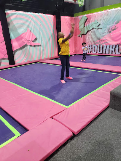 Flying Squirrel Trampoline Park South Calgary