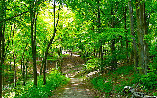 Furniture Store «Furniture Place LLC», reviews and photos, 1216 S Rainbow Blvd, Las Vegas, NV 89146, USA