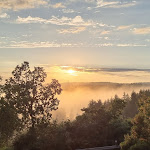 Photo n°10 de l'avis de F.. fait le 20/08/2023 à 08:40 sur le  Romantik Berghotel Astenkrone à Winterberg