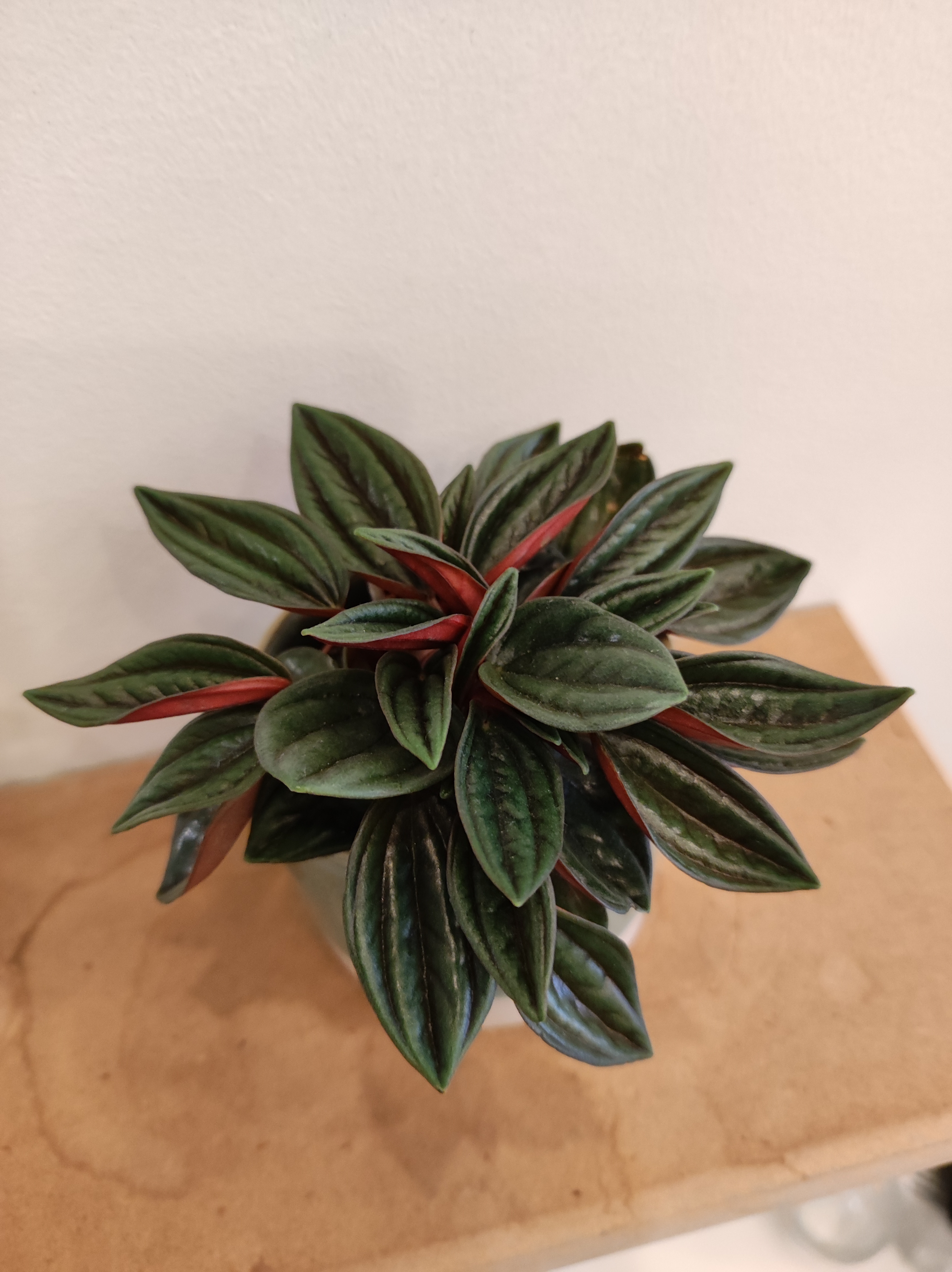 Photo n° 3 de l'avis de Jack.n fait le 21/10/2021 à 21:25