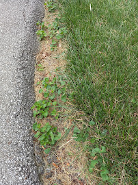 Kapp's Green Lawn - Photo 4 - Car repair in Fort Wayne, IN, Fort Wayne
