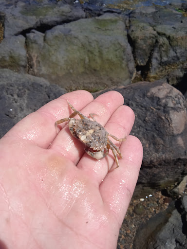 Campground «Winter Island Park», reviews and photos, 50 Winter Island Rd, Salem, MA 01970, USA