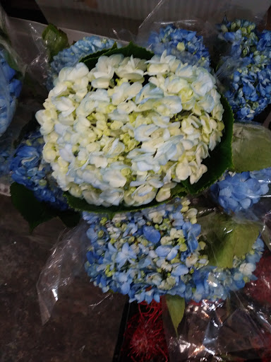 Florist «The Flower Place», reviews and photos, 860 NE 79th St, Miami, FL 33138, USA