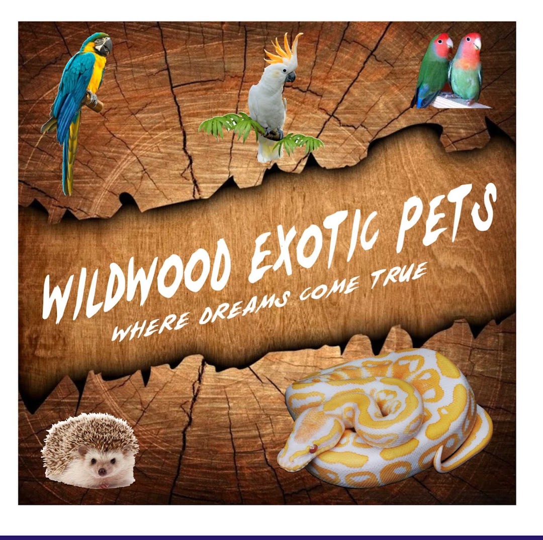 Wildwood Exotic Pets