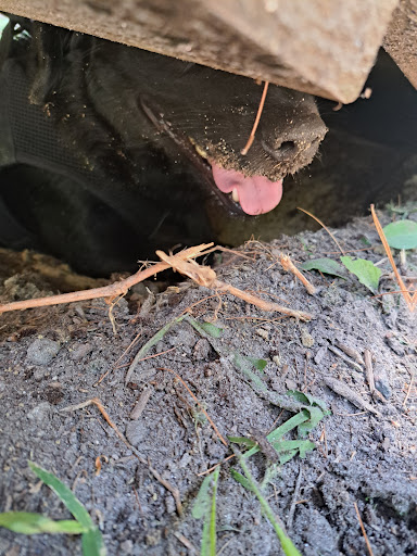 State Park «Breakheart Reservation», reviews and photos, 177 Forest St, Saugus, MA 01906, USA