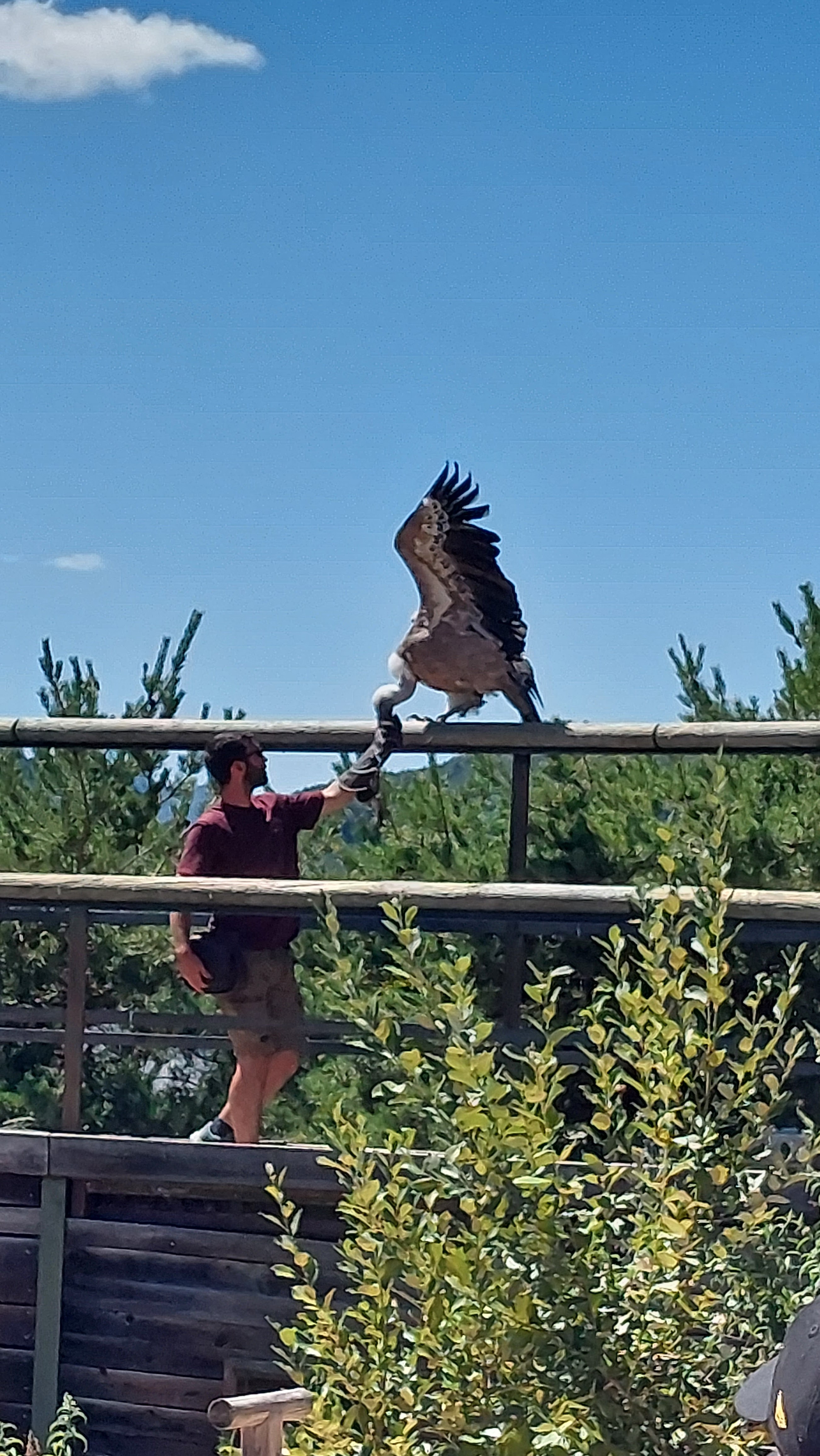 Photo n° 2 de l'avis de Véronique.e fait le 12/08/2022 à 16:35
