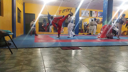 Taekwondo Guerreros Elite - Calle Gral Neri Nte 158, Barrio de San Cayetano, 59514 De, Mich., Mexico