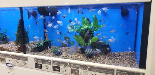 Pet Supply Store «Petco Animal Supplies», reviews and photos, 664 New Loudon Rd #240, Latham, NY 12110, USA