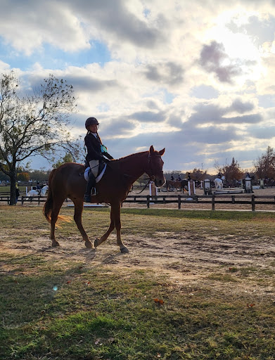 Cedar Haven Stables