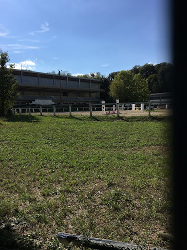 Centre équestre Centre Equestre Régional du Waldeck Riedisheim