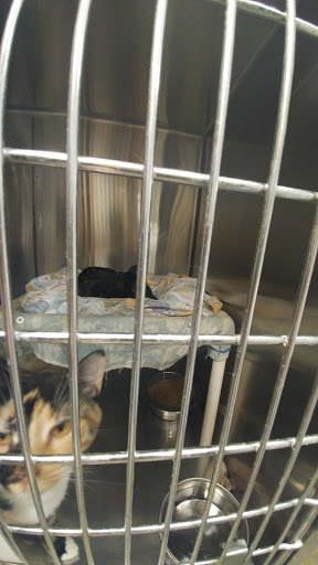 Pet Supply Store «PetSmart», reviews and photos, 145 Promenade Blvd, Bridgewater, NJ 08807, USA