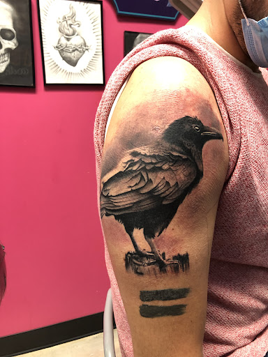 Tattoo Shop «Pink Rhino Tattoo», reviews and photos, 3519 N Halsted St, Chicago, IL 60657, USA