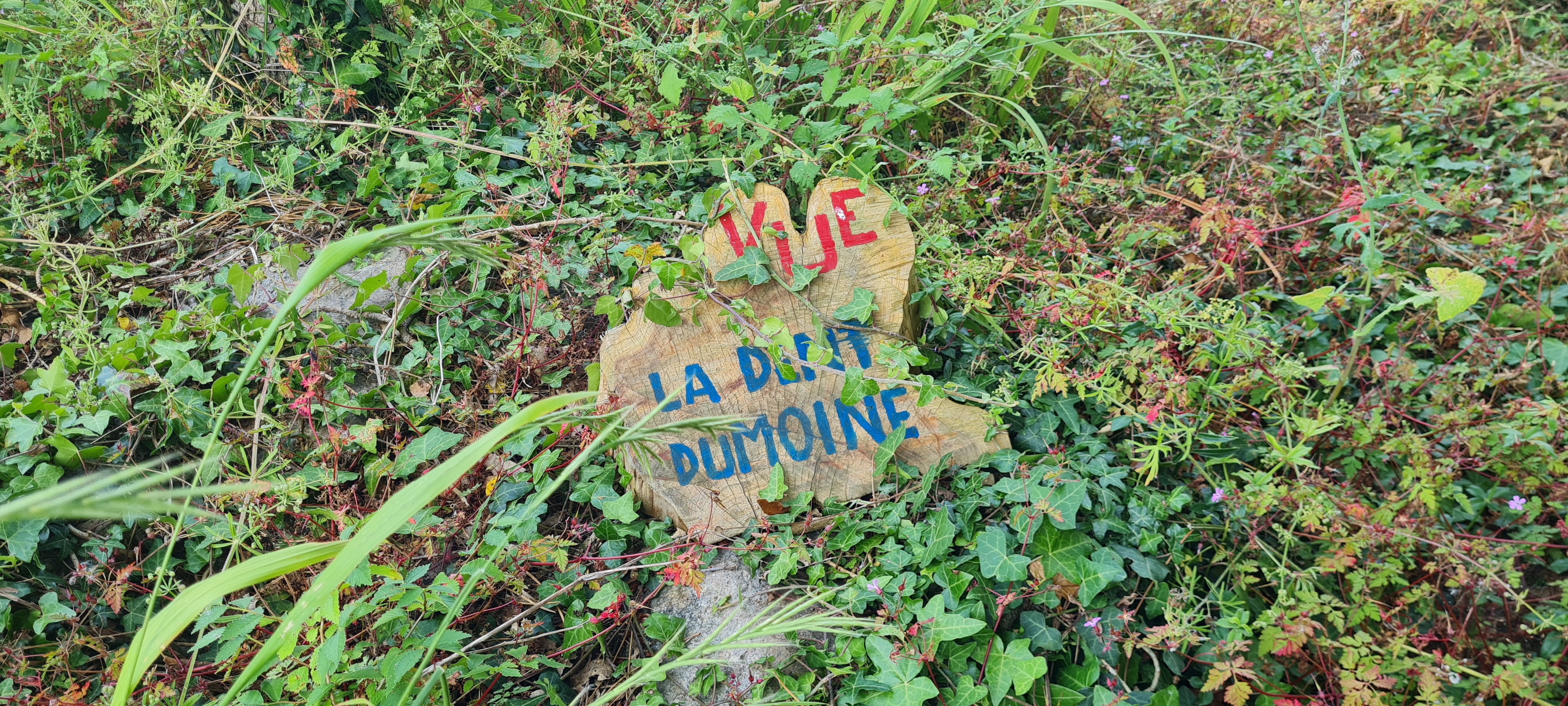 Photo n° 1 de l'avis de Justice.o fait le 18/06/2023 à 14:41