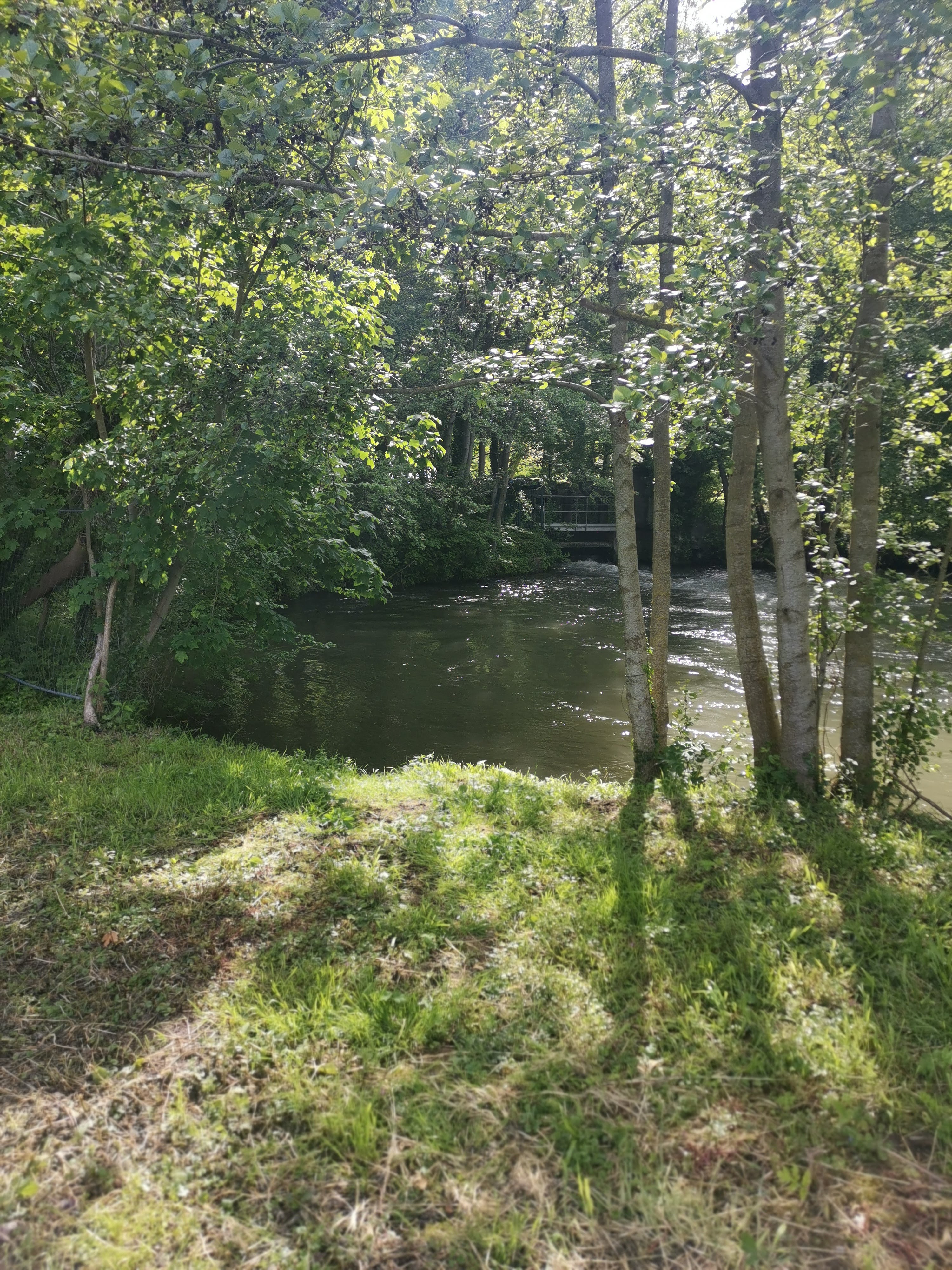Photo n° 1 de l'avis de Picard.o fait le 13/06/2021 à 07:25