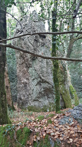 Menhir du Mendy à Saint-Goazec