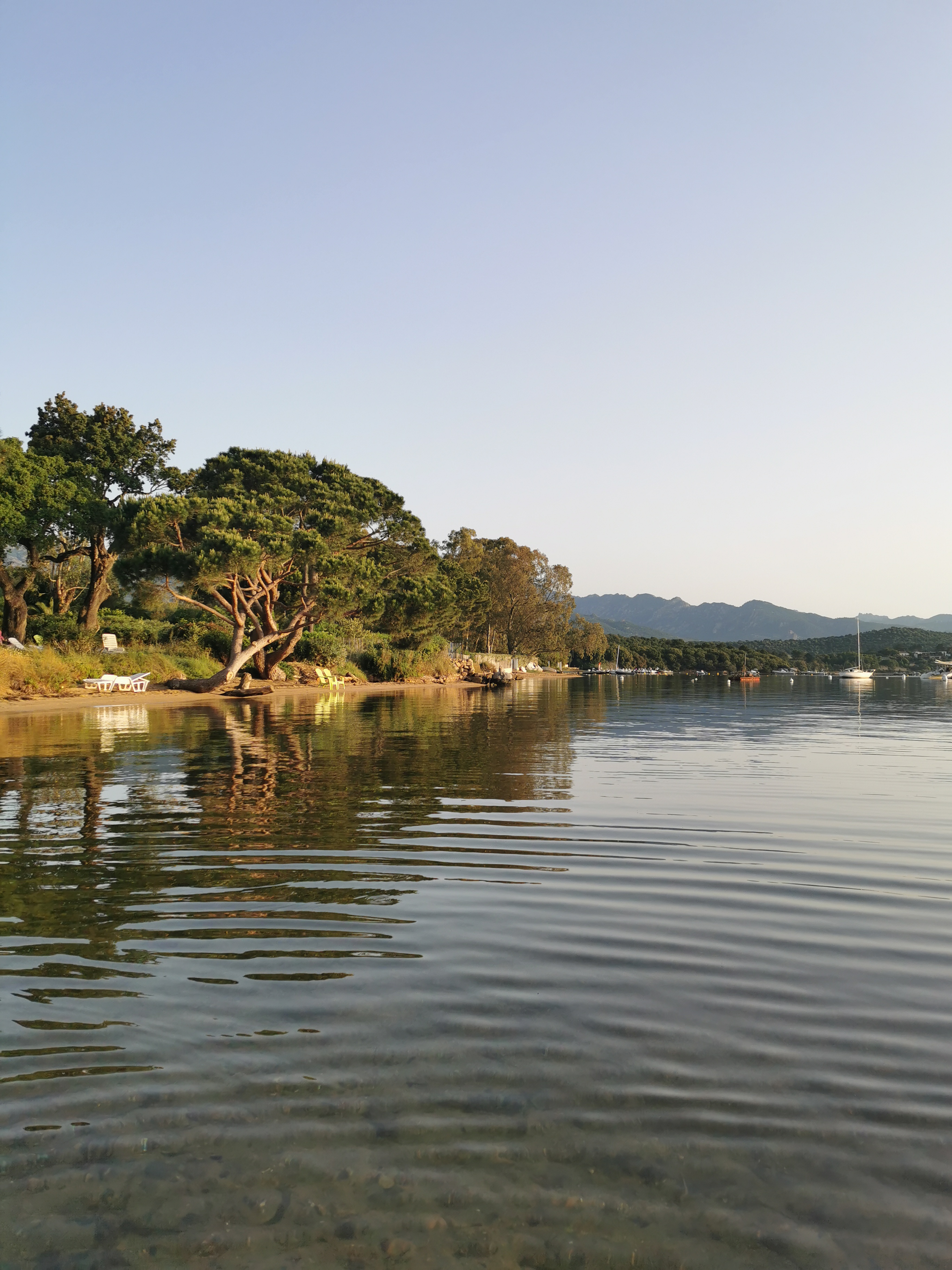 Photo n° 2 de l'avis de Béra.M fait le 23/05/2022 à 05:23