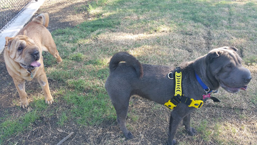 Recreation Center «Rosemeade Recreation Center», reviews and photos, 1330 E Rosemeade Pkwy, Carrollton, TX 75007, USA