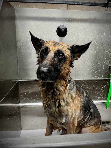 Pet Supply Store «All 4 Pets Belle Isle», reviews and photos, 5126 S Conway Rd, Orlando, FL 32812, USA