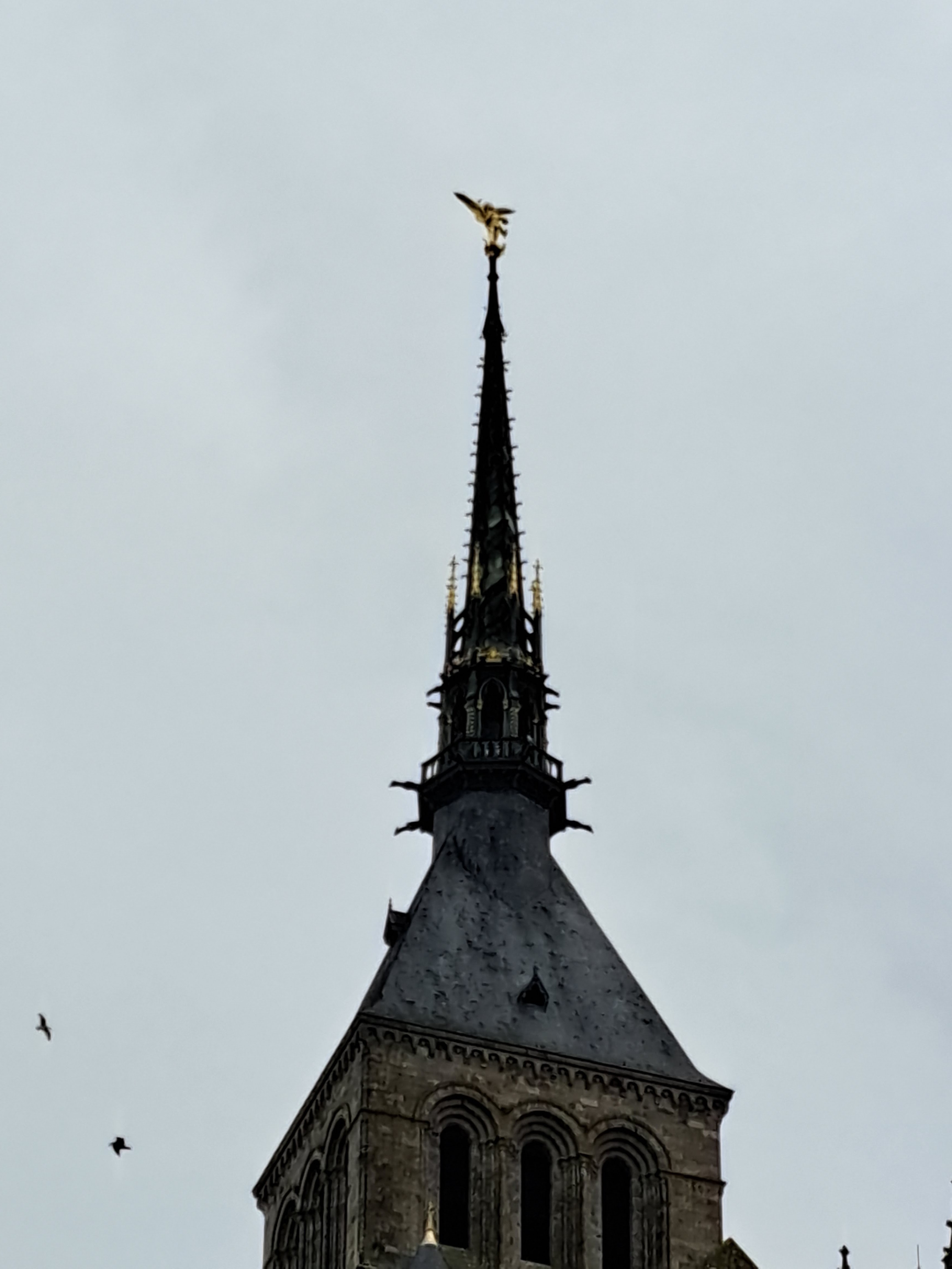 Photo n° 24 de l'avis de Ansis.e fait le 17/08/2023 à 18:23