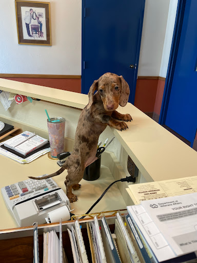 Amber Oaks Veterinary Hospital image