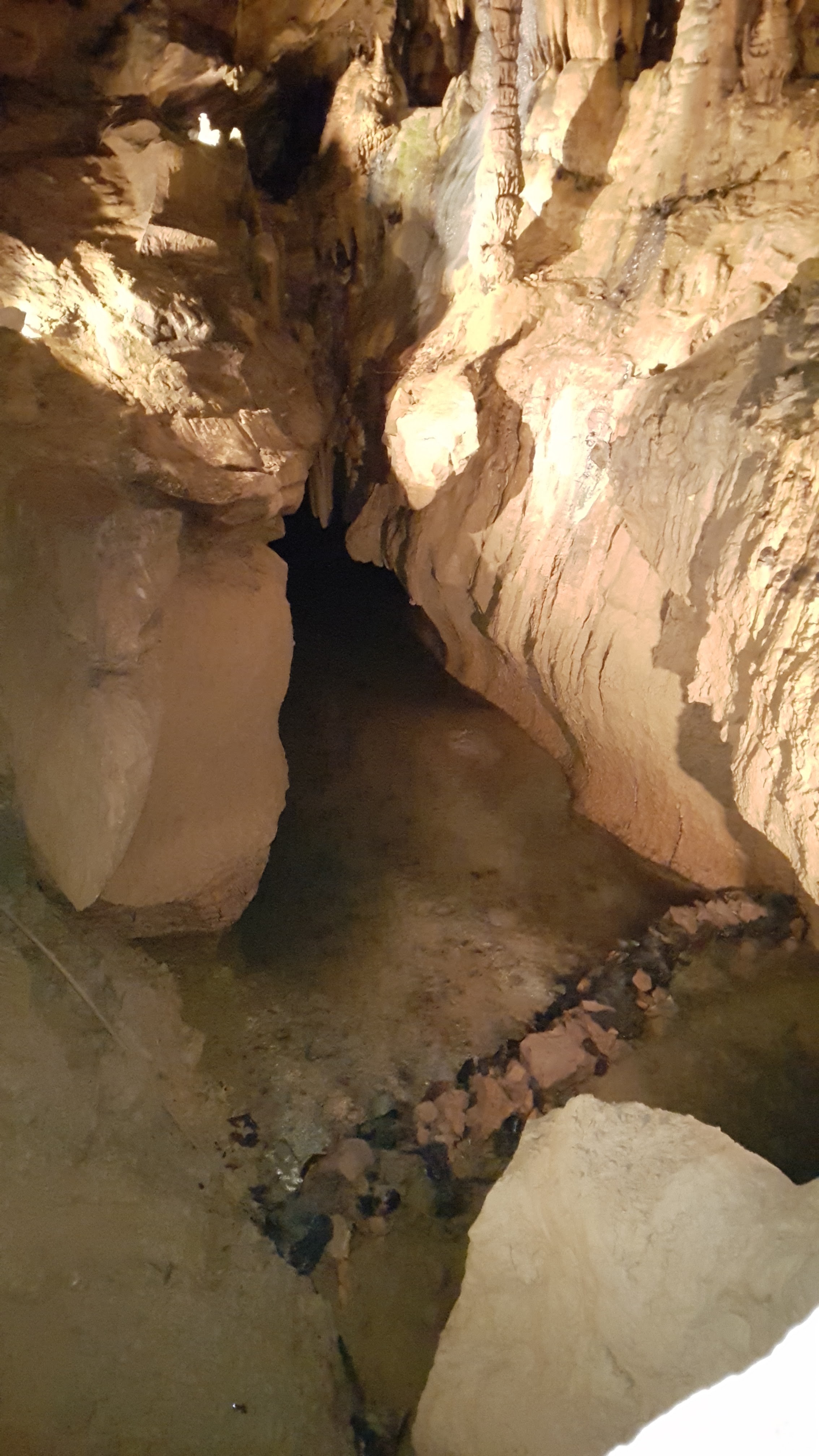 Photo n° 8 de l'avis de delphine.l fait le 25/08/2018 à 12:52