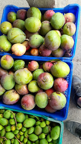 Vegefruits - Frutería