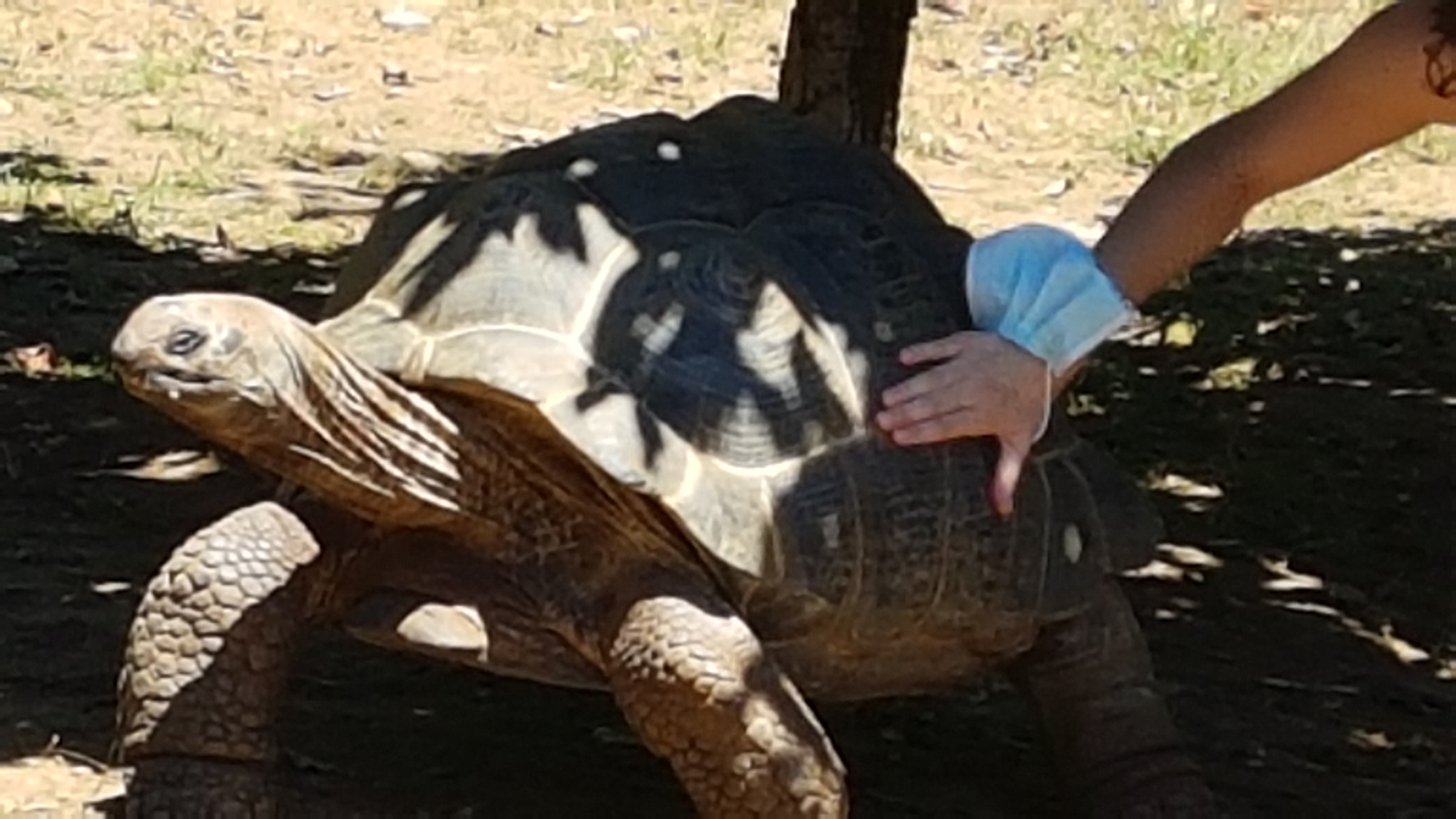 Photo n° 2 de l'avis de Muriel.A fait le 19/08/2020 à 20:45