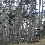 Photo n°4 de l'avis de Riccardo.a fait le 18/08/2023 à 07:25 sur le  Silavventura Parco Avventura à Lorica