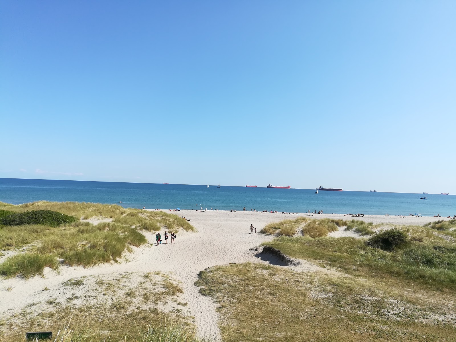 Skagen Sonder Beach的照片 带有碧绿色纯水表面