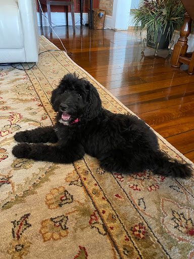 Funeral Home «Jessen Funeral Home», reviews and photos, 197 E Jefferson St, Franklin, IN 46131, USA