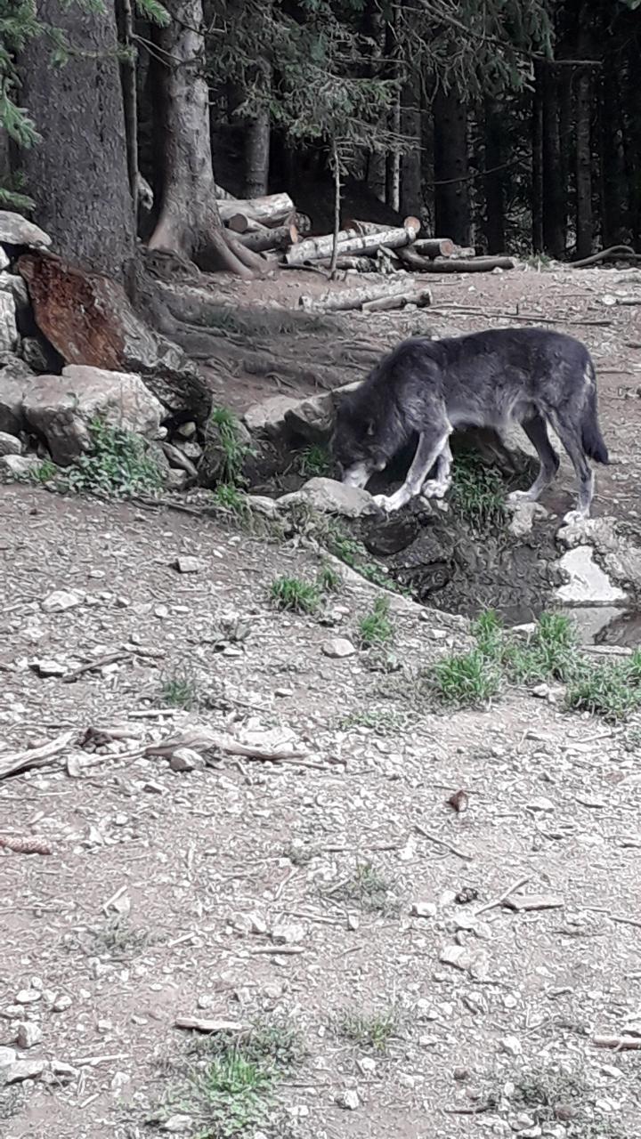 Photo n° 3 de l'avis de Hock. fait le 29/08/2019 à 15:28