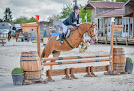 O'reil Equitation Les Hauts-d'Anjou