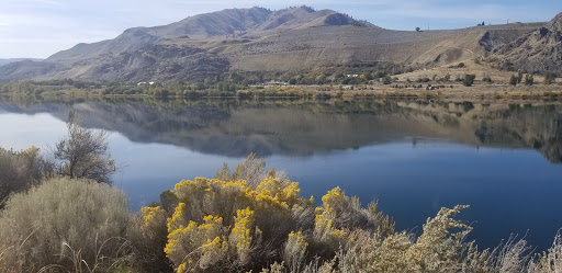 Florist «Chelan Fruit Plant 3», reviews and photos, 80 McNeil Canyon Rd, Orondo, WA 98843, USA