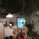 Photo n°2 de l'avis de maria.u fait le 16/08/2023 à 06:52 sur le  Agriturismo Scalelle à Otranto