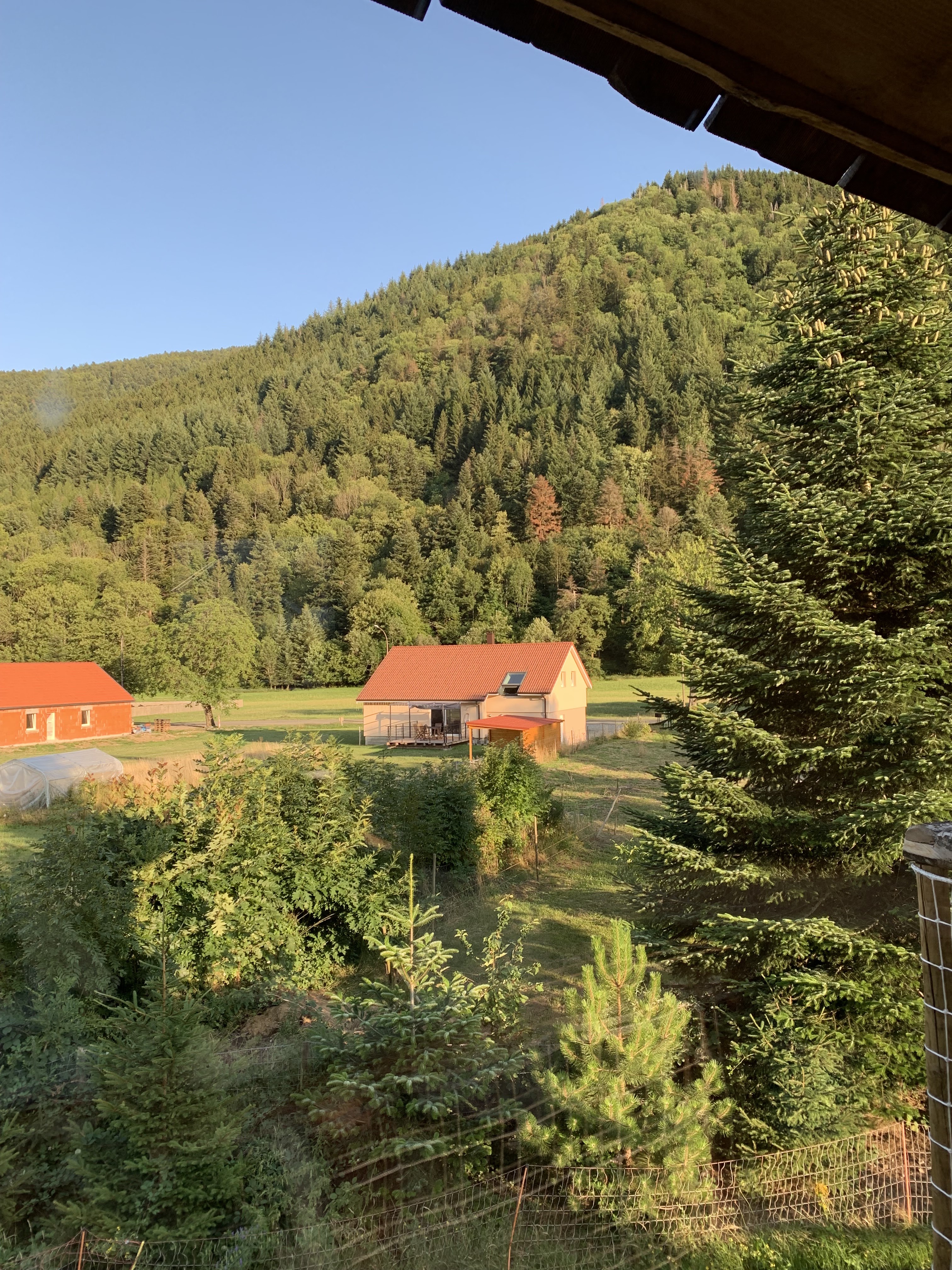Photo n° 2 de l'avis de Britt.y fait le 29/11/2023 à 17:09