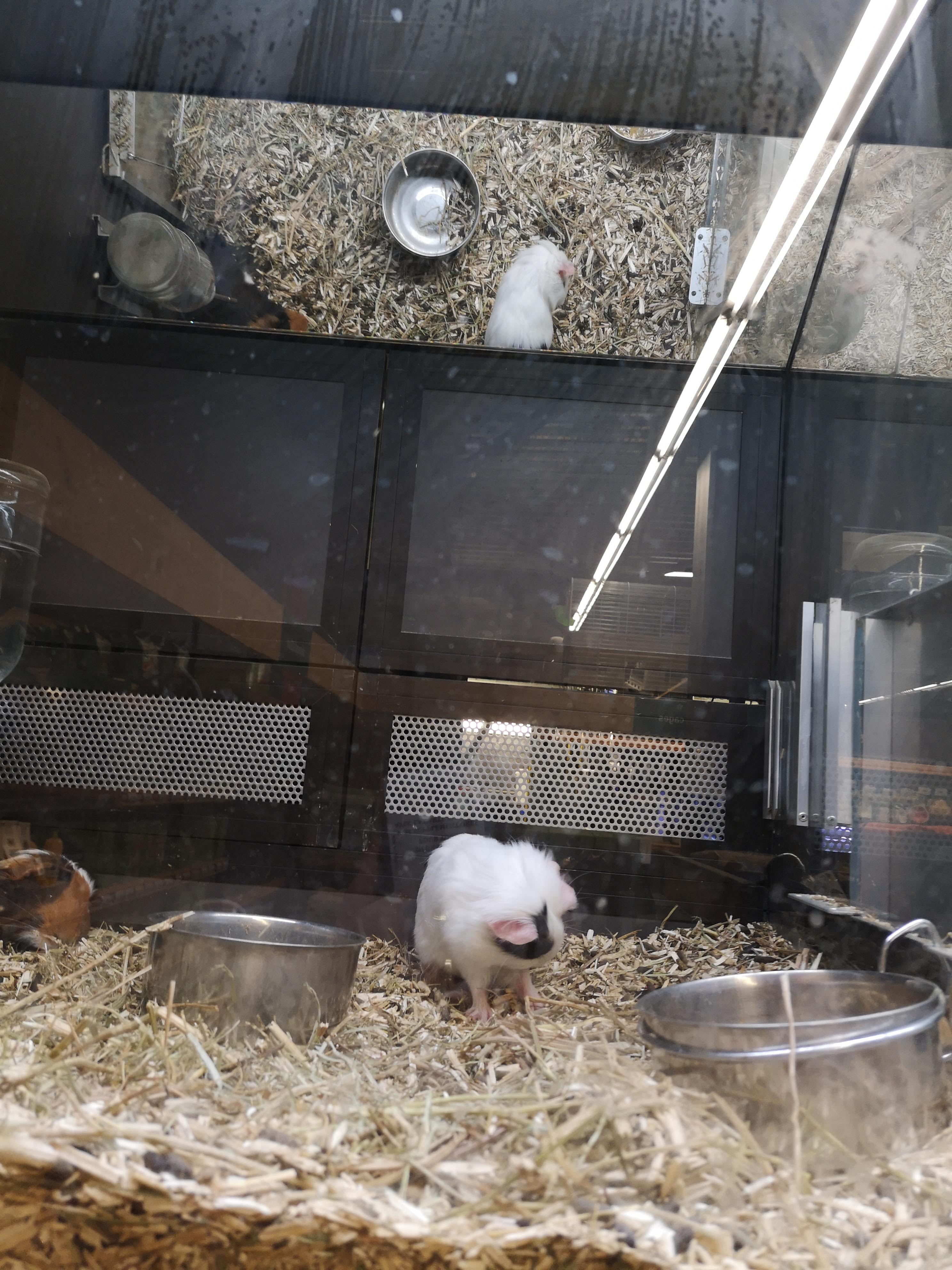 Photo n° 4 de l'avis de Sylviane.o fait le 12/02/2019 à 07:52