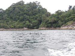 Photo de Ko Tarutao Beach avec baie spacieuse