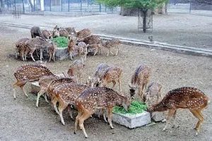 Bahawalpur Zoo image